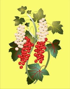 Jolly Daubs Kunstdruck: Johannisbeeren 9
