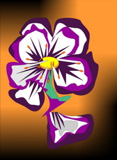 Jolly Daubs Digitalkunst: Eine surreales Stiefmütterchen.