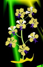Jolly Daubs Digitalkunst: Eine gepunkte Blume.