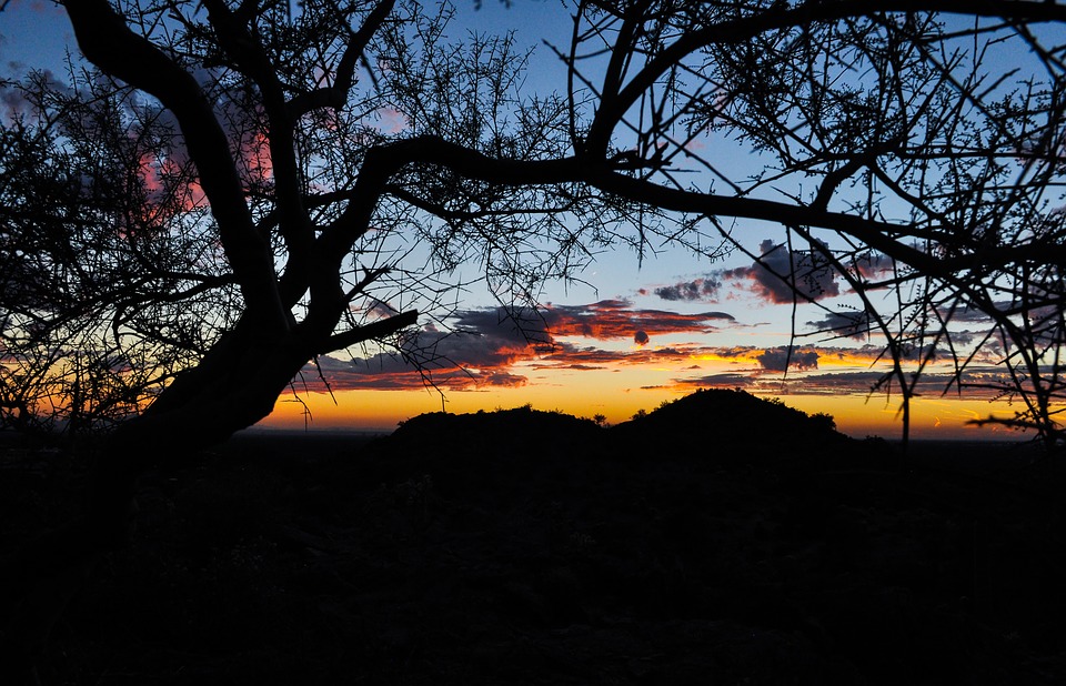 Wikimedia: Phoenix, Arizona