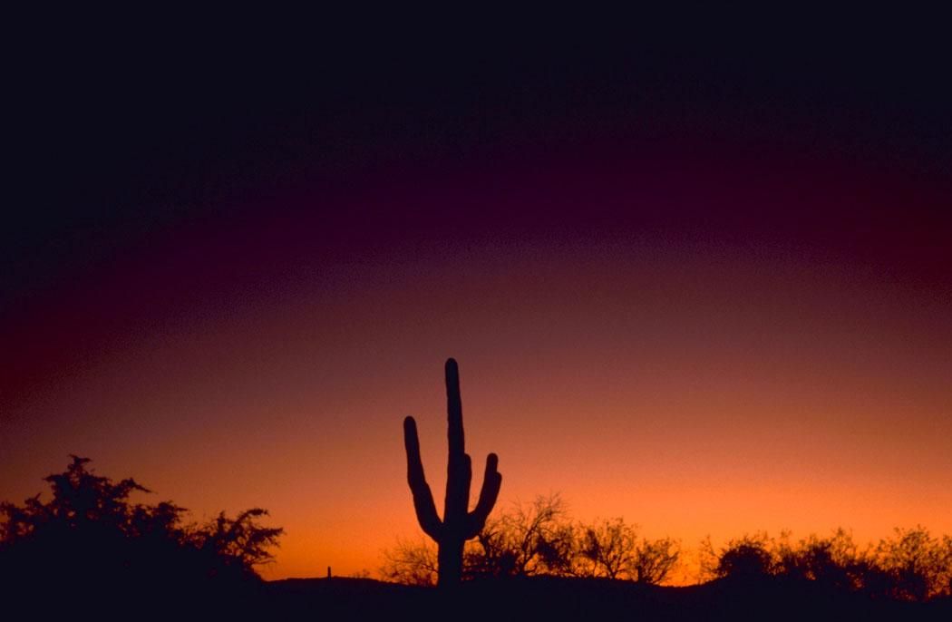 Wikimedia: Sabino Canyon, Arizona